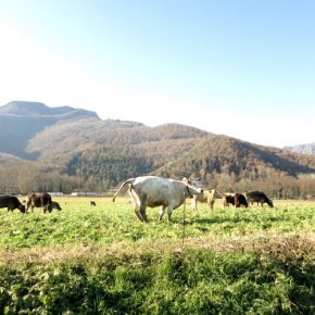 Catalunya Winter Challenge - Photo by: Sami Moreno