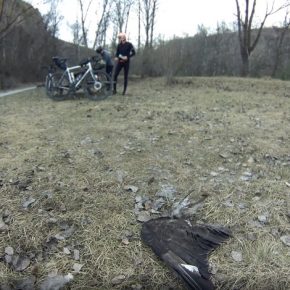 Men of Lakes 500 - Photo by: Carlo Bonetti