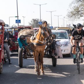 Le Tour de Indie - Photo by: L. de Sousa
