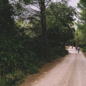 Speedvagen Experience by TSC - Photo by: Brazo de Hierro