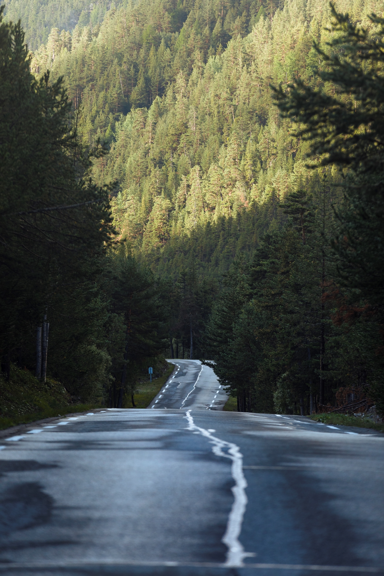 ATG6 The Beloved Land